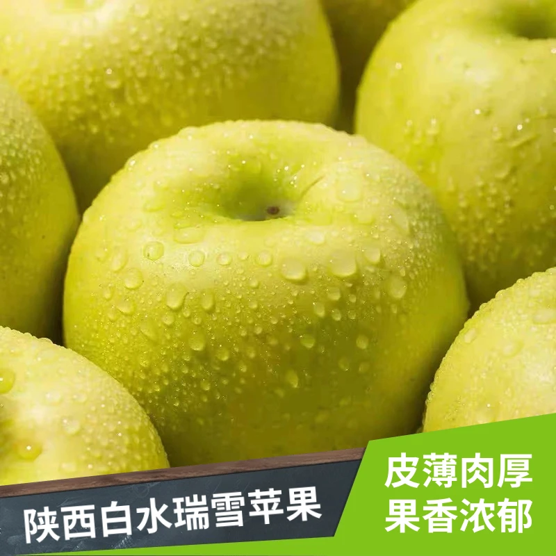 【瑞雪苹果】陕西白水时令原产地自然正宗农家新鲜脆甜苹果