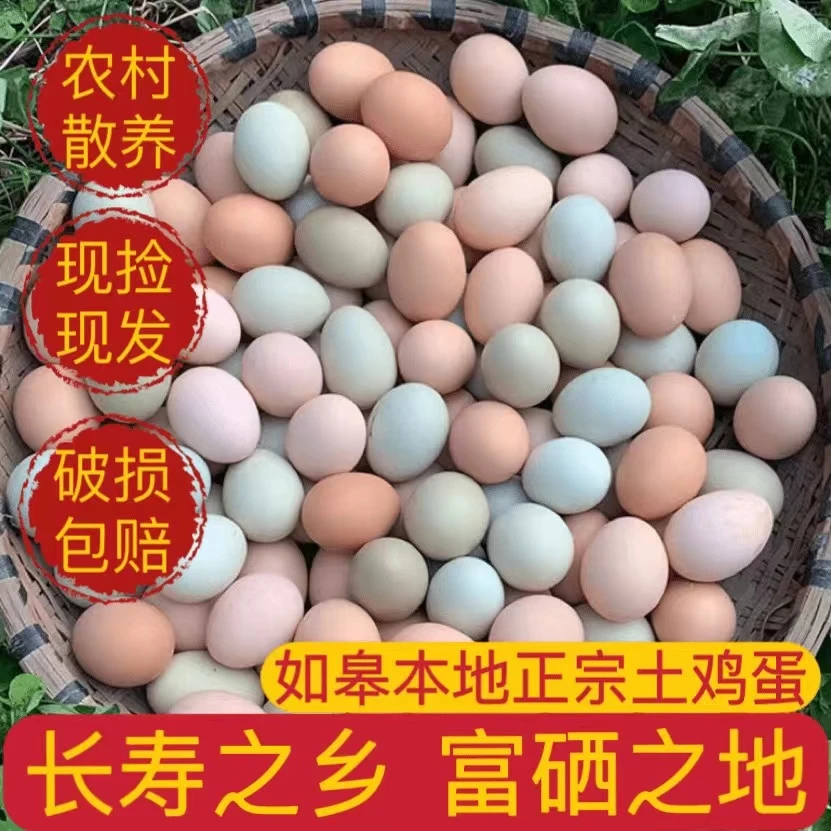【破损包赔】50枚散养黄壳绿壳鸡蛋农家新鲜草鸡蛋现捡现发