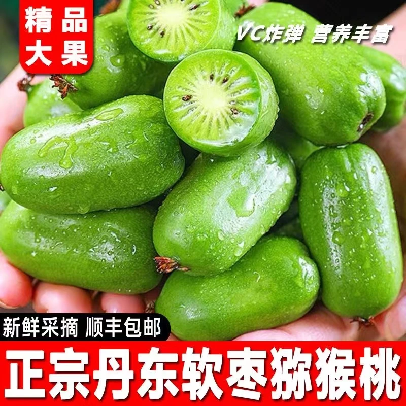 【普通包装】丹东软枣猕猴桃【顺丰包邮】