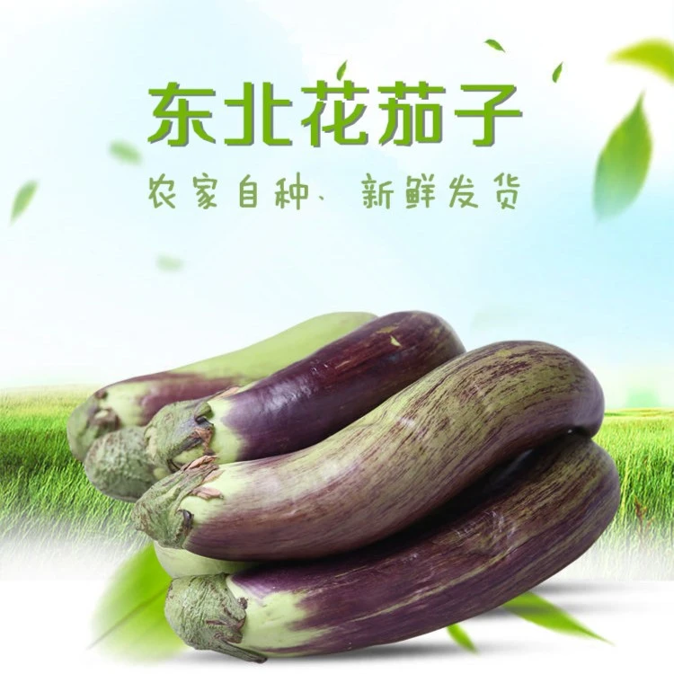 纯东北农家新鲜花茄子蒜蓉茄子红烧茄子简单好吃3斤5斤包邮到您家