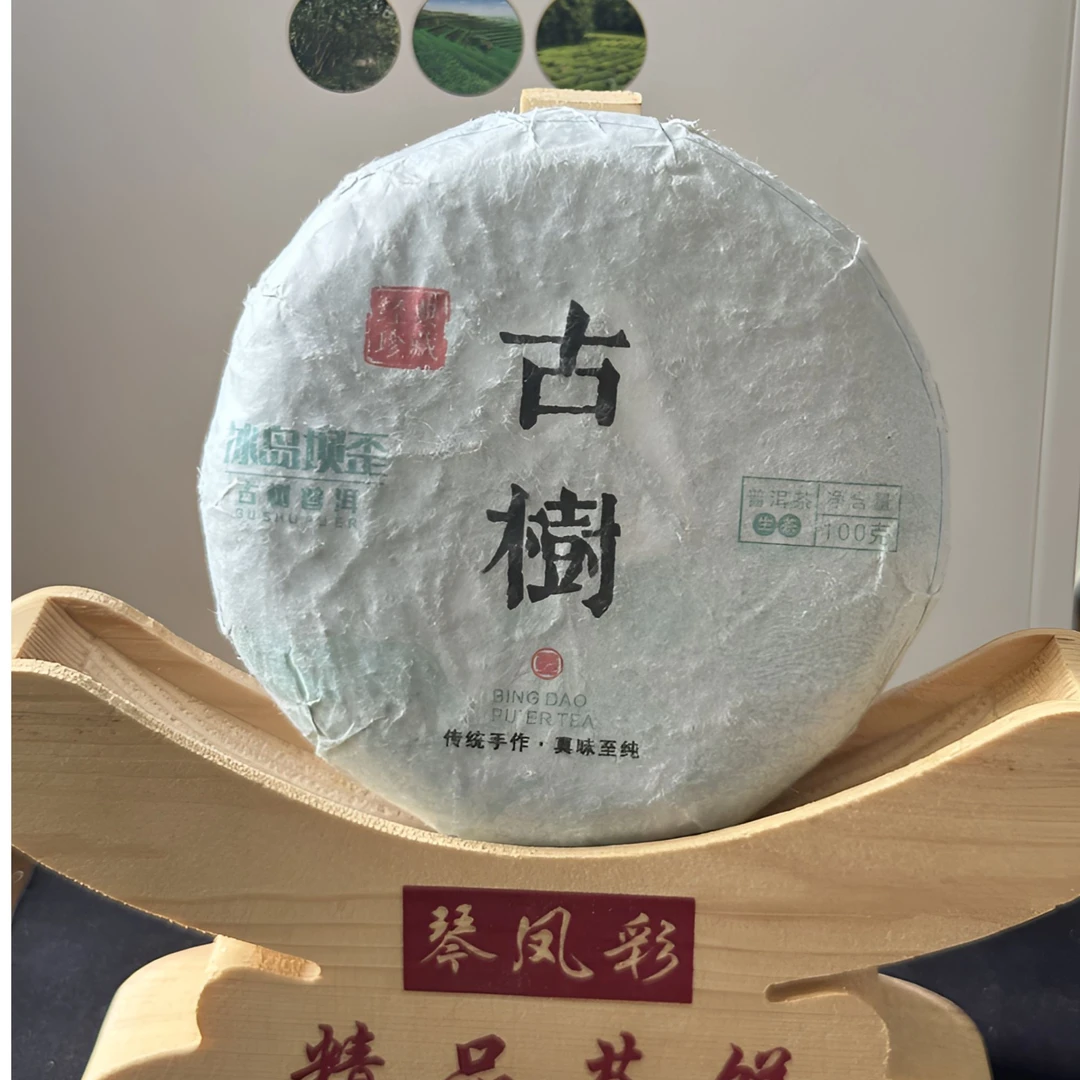 （村长专属）2023年冰岛坝歪头春古树100克饼