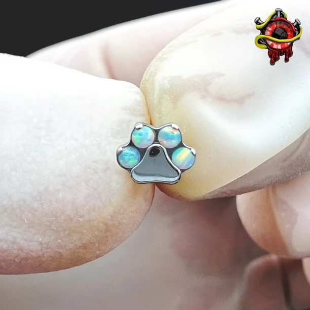 合金耳饰 哈尼穿刺饰品钛合金猫爪内螺纹0.9牙口耳钉唇钉单个