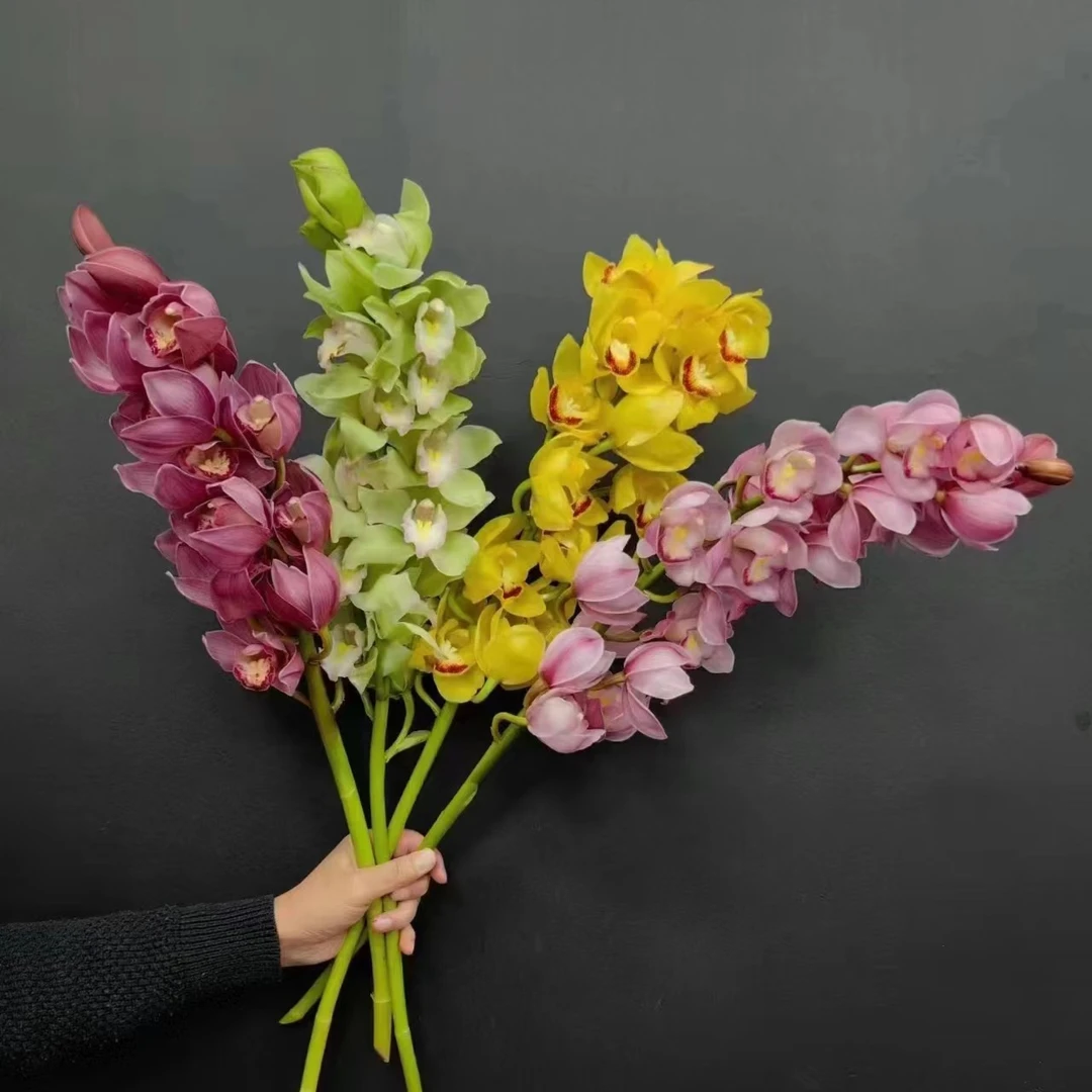【粉丝专享福利】【大花蕙兰】年宵花水养鲜切花瓶查鲜花【雅悦】