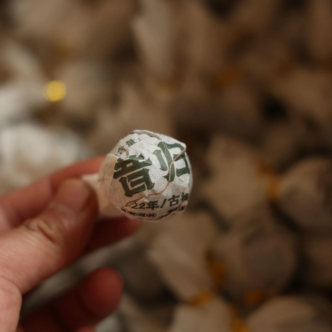 昔归生茶龙珠 300 年古树纯料 茶气饱满回甘生津（10颗装）