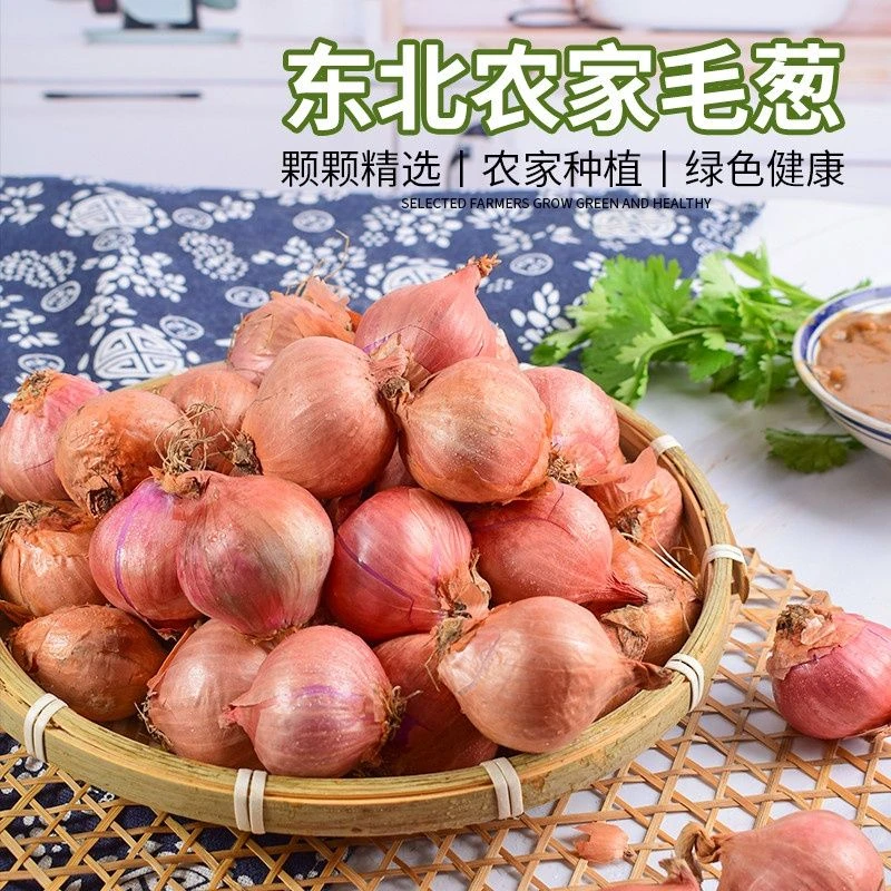 【超低价】东北新鲜笨毛葱红葱头毛葱批发蔬菜洋葱1/3/5斤包邮