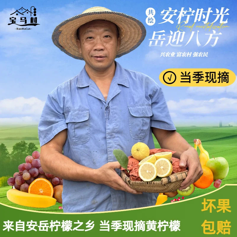 【新店福利】老陈家安岳黄柠檬