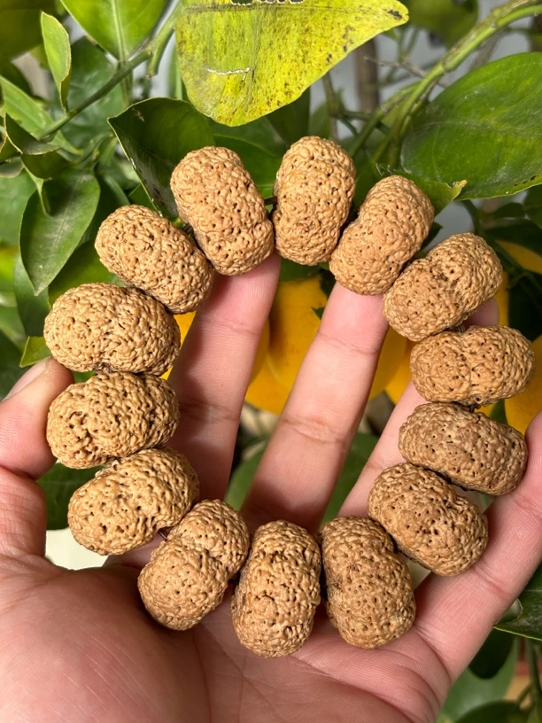 尼泊尔国宝熊猫菠萝蜜夹板