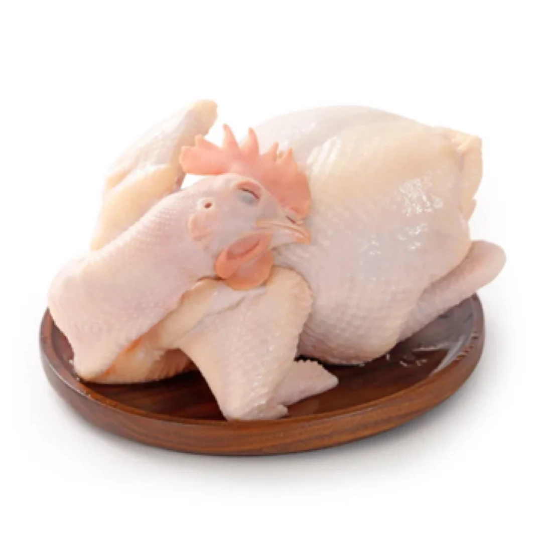 【冻海南文昌鸡】1只约2.5斤