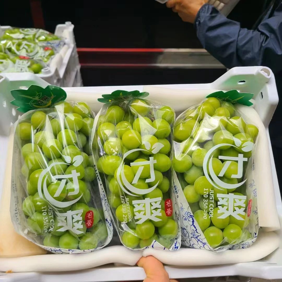 正宗云南-精品-晴王-葡萄-1串-2串-3串！冰箱冷藏保存！顺丰快递！