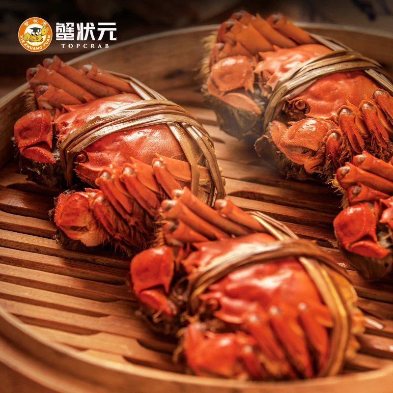 【活蟹】蟹状元全母活蟹礼盒母蟹2.2两/只*10只新鲜饱满养殖精选