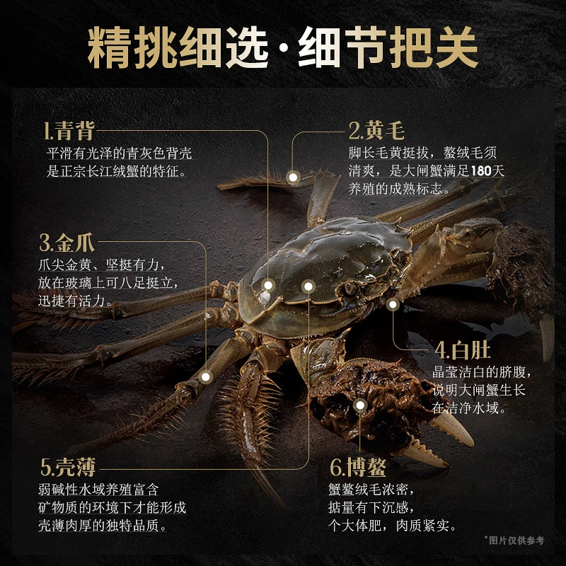 【活蟹】蟹状元大闸蟹母2.9-3.1两*4只+公2.9-3.1两*4只鲜活螃蟹