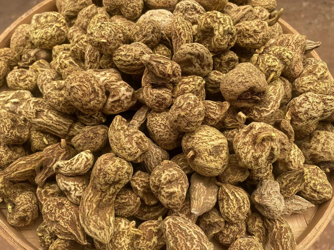 【主播精选】山货黄-灵-参3