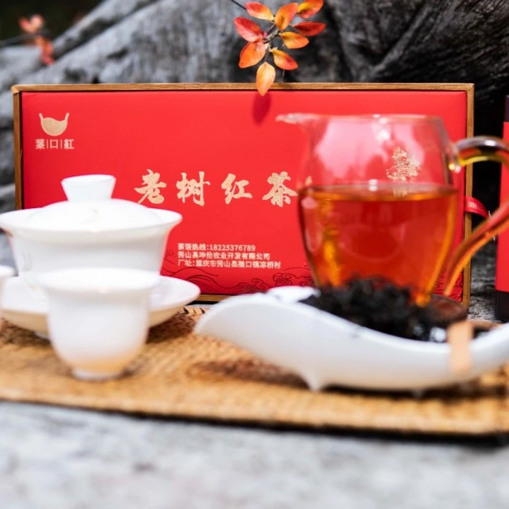 葉口红老树红茶千米高山花果香十足汤色金黄满毫华礼200g礼盒装