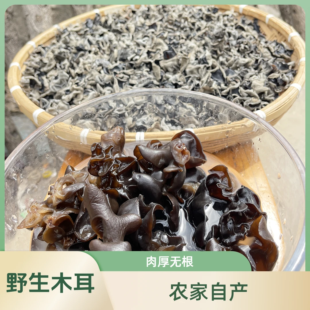 #金峰家黑木耳（野外自然生长 ）农家自产 口感更嫩更柔软