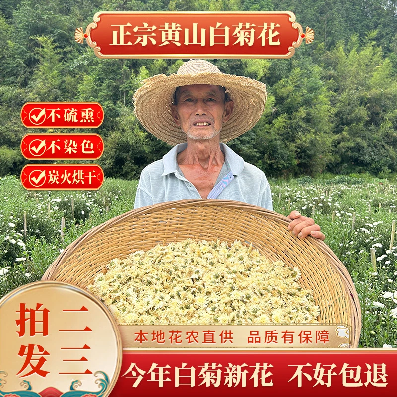严选罐装黄山菊花七月菊早贡白菊花胎菊可搭配枸杞金银花25g/罐
