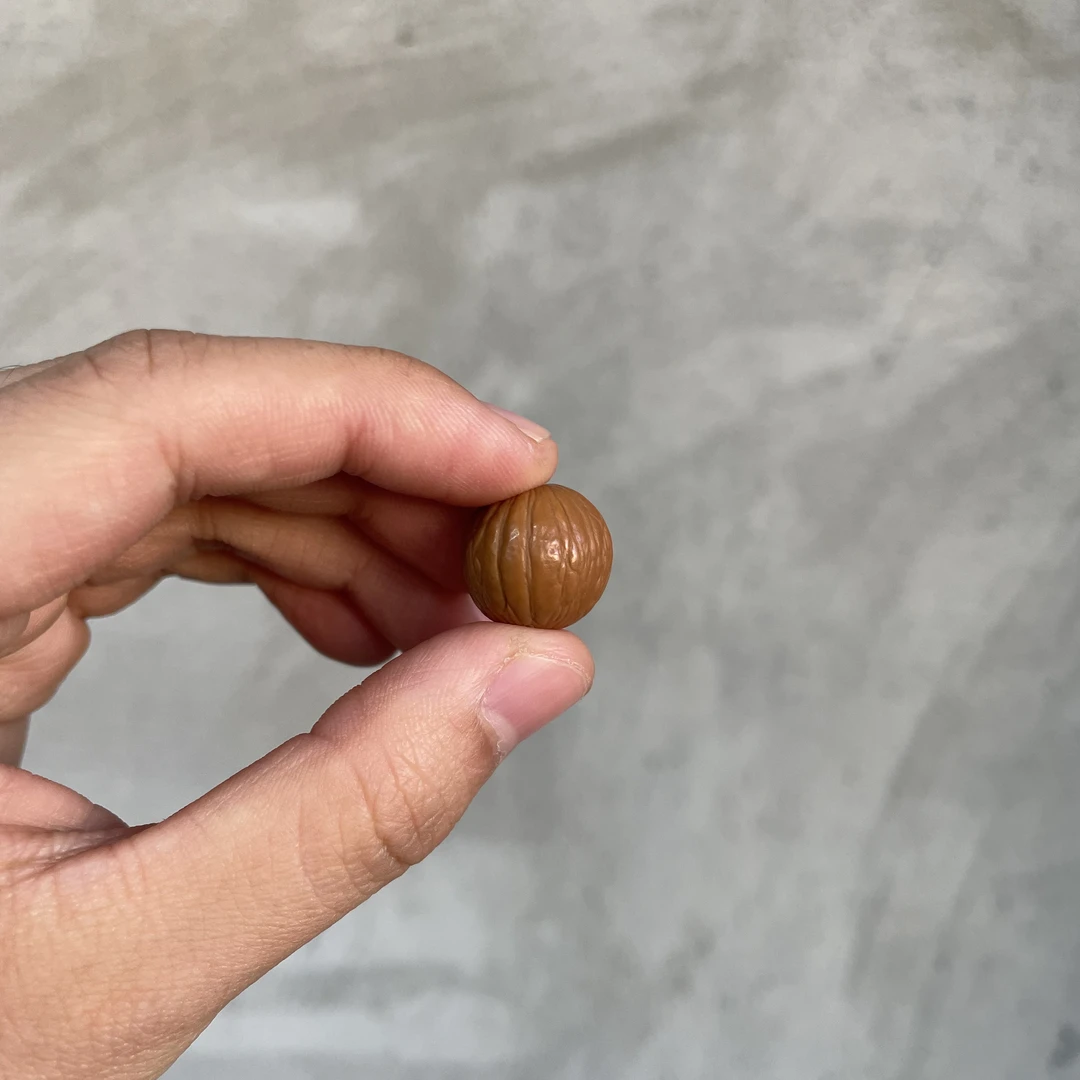 菩提籽单珠配饰（多样性发其一）