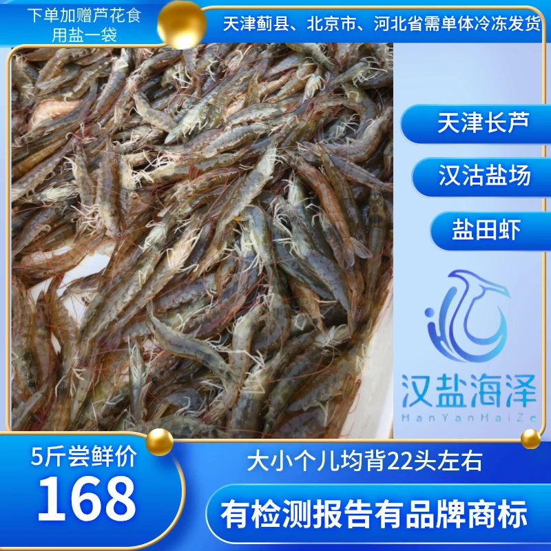 【原产地直发 鲜活打包】汉沽盐场露天鲜甜虾王盐田虾22头左右