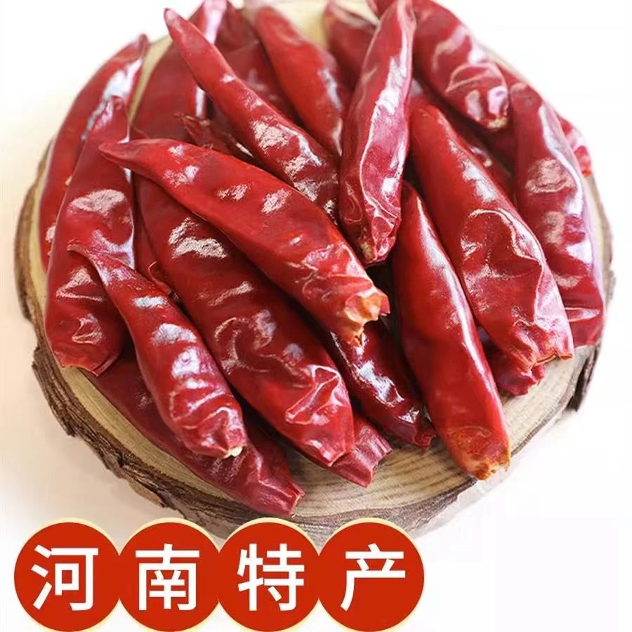 农家晾晒干辣椒 微辣干红辣椒 朝天椒 三樱椒 河南新一代辣椒段