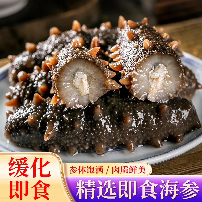 年货【即食大连海参】 8-12头/1斤z正宗辽刺参冷冻营养健康口感Q弹