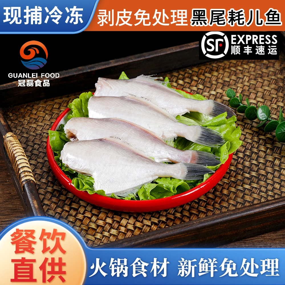 [三斤三袋] 无冰 无水 新鲜深海海捕精品耗儿鱼马面鱼 中号