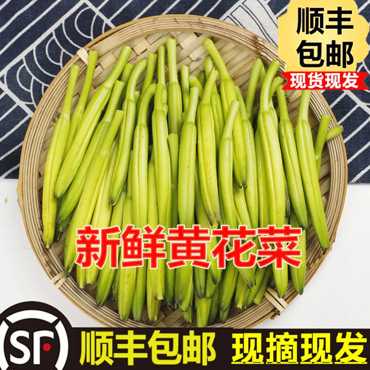 新鲜黄花菜 当季金针菜 萱草蔬菜下饭菜农家土特产酒店食材凉拌菜