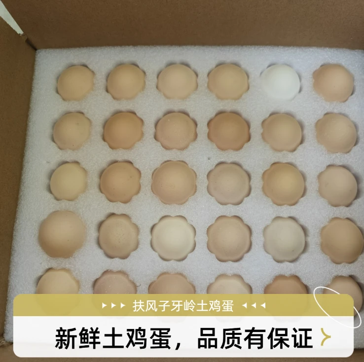 子牙岭放养土鸡蛋