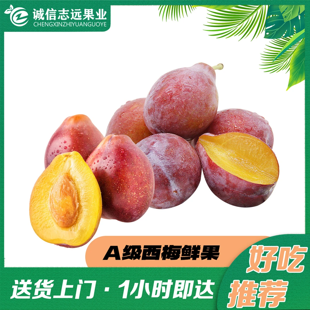 A级西梅2斤 果实大小随机