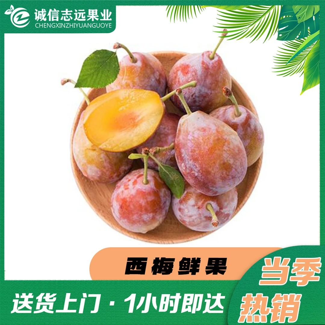 西梅鲜果500g【安徽区域专享】