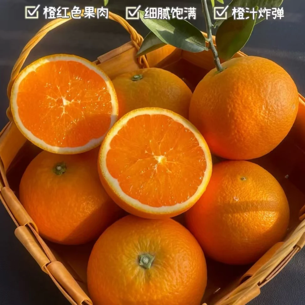 【京东】郭一瓶水果湖北秭归九月红脐橙净重5斤