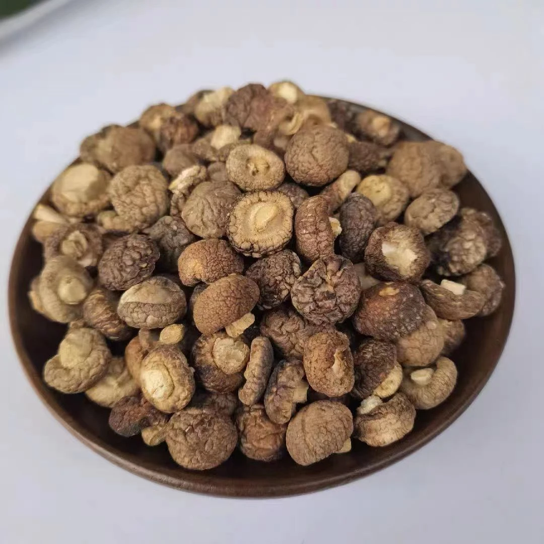 【老板娘推荐】小香菇滋补食材