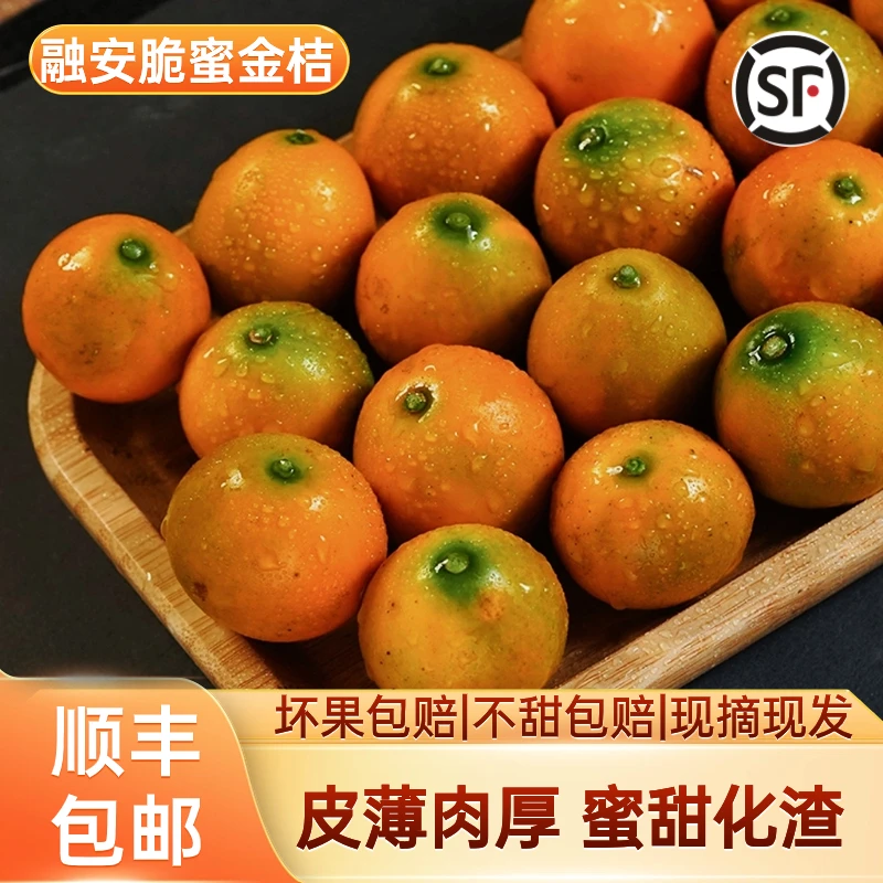 【脆蜜金桔2斤】顺丰包邮脆蜜金柑皮薄肉糯蜜甜新鲜多汁正宗产融安