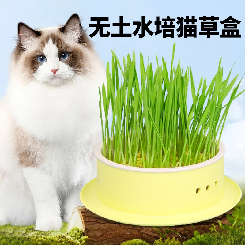 猫草化毛无土水培便捷干净猫草盒种1次可收割5次猫咪零食推荐