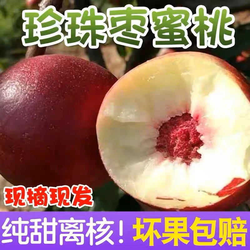 珍珠枣桃油桃新鲜采摘脆甜多汁纯甜孕妇水果香甜2/5.02斤坏果包赔
