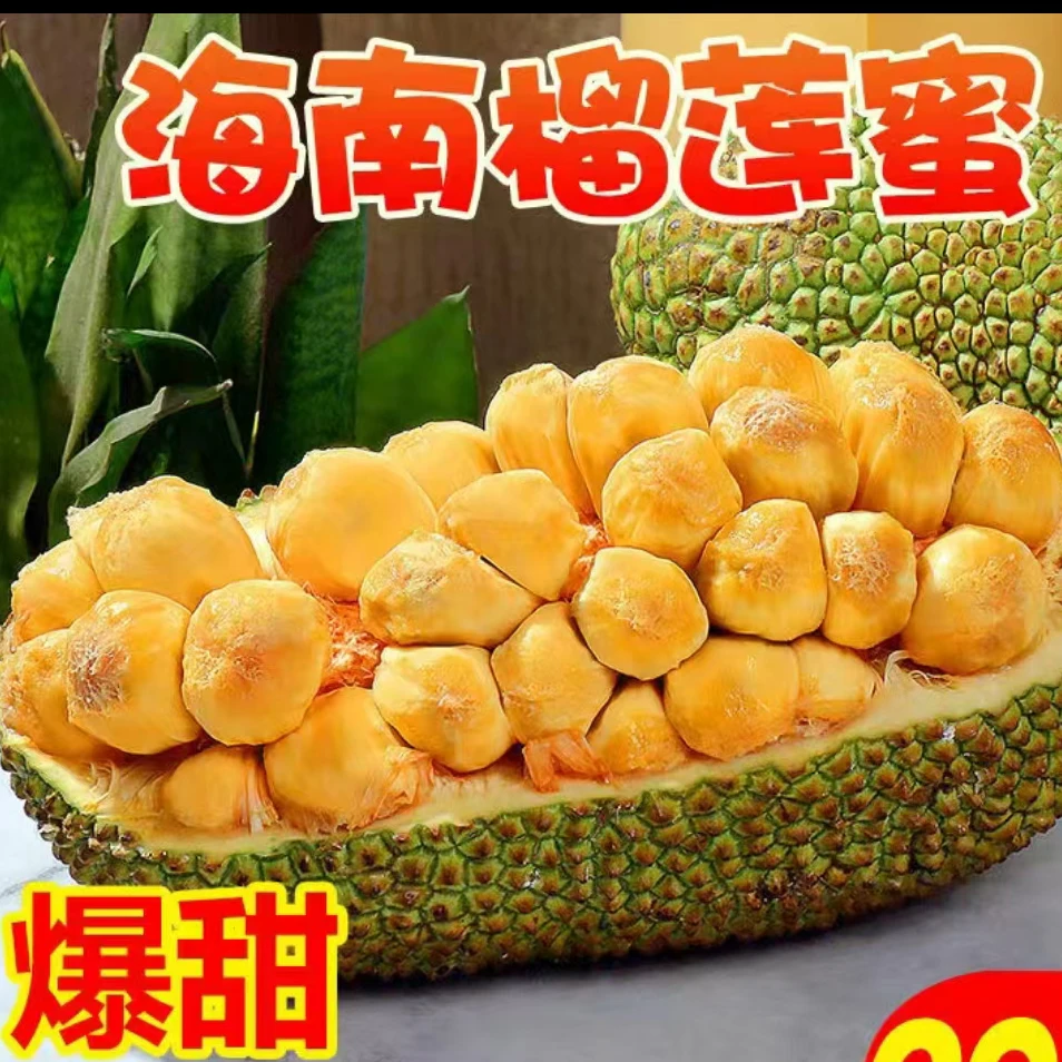 海南应季水果正宗榴连蜜产地直发直播新鲜包邮湿包菠萝蜜软糯香甜