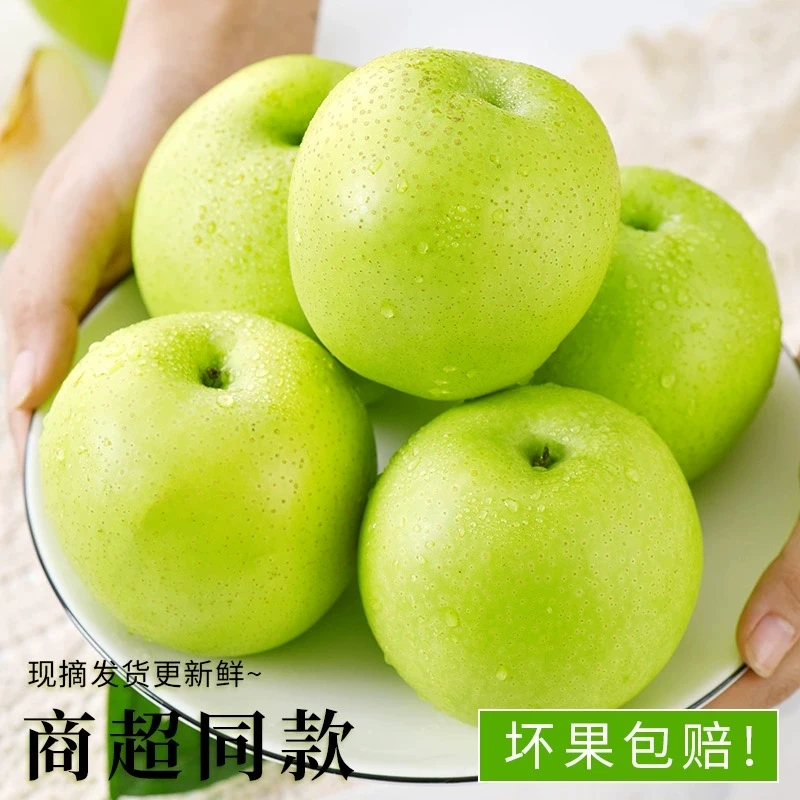 正宗砀山青梨翠冠梨脆甜多汁现摘现发应季水果坏果包赔