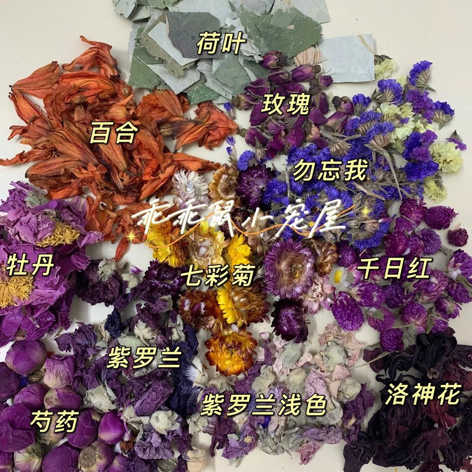 干花垫料仓鼠垫料刺猬花枝鼠消暑除臭清香可食用多彩造景预防感冒