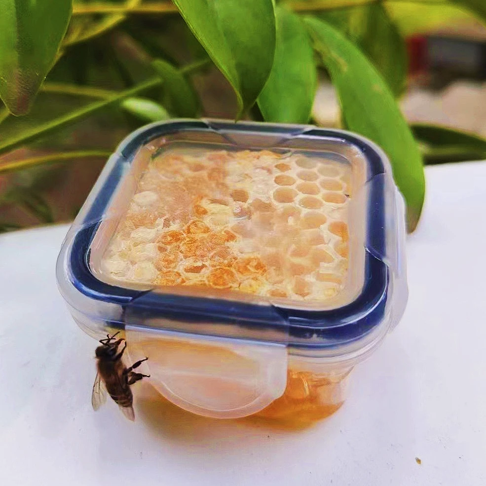 秦岭蜂巢蜜试吃可爱装