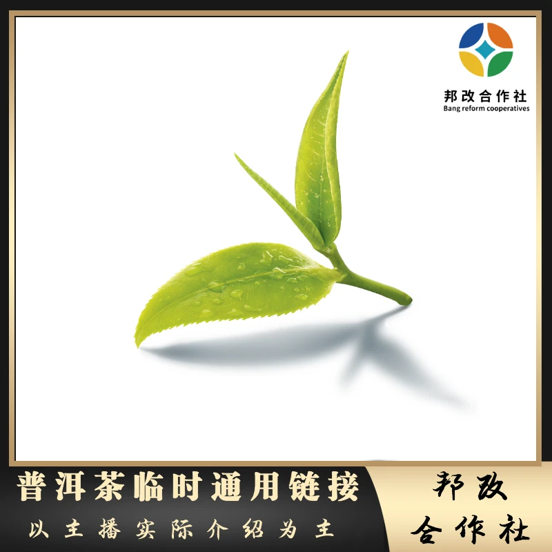 【邦改】普洱茶茶样/通用临时链接/茶叶/回甘/茶样/普洱茶/品牌惊喜