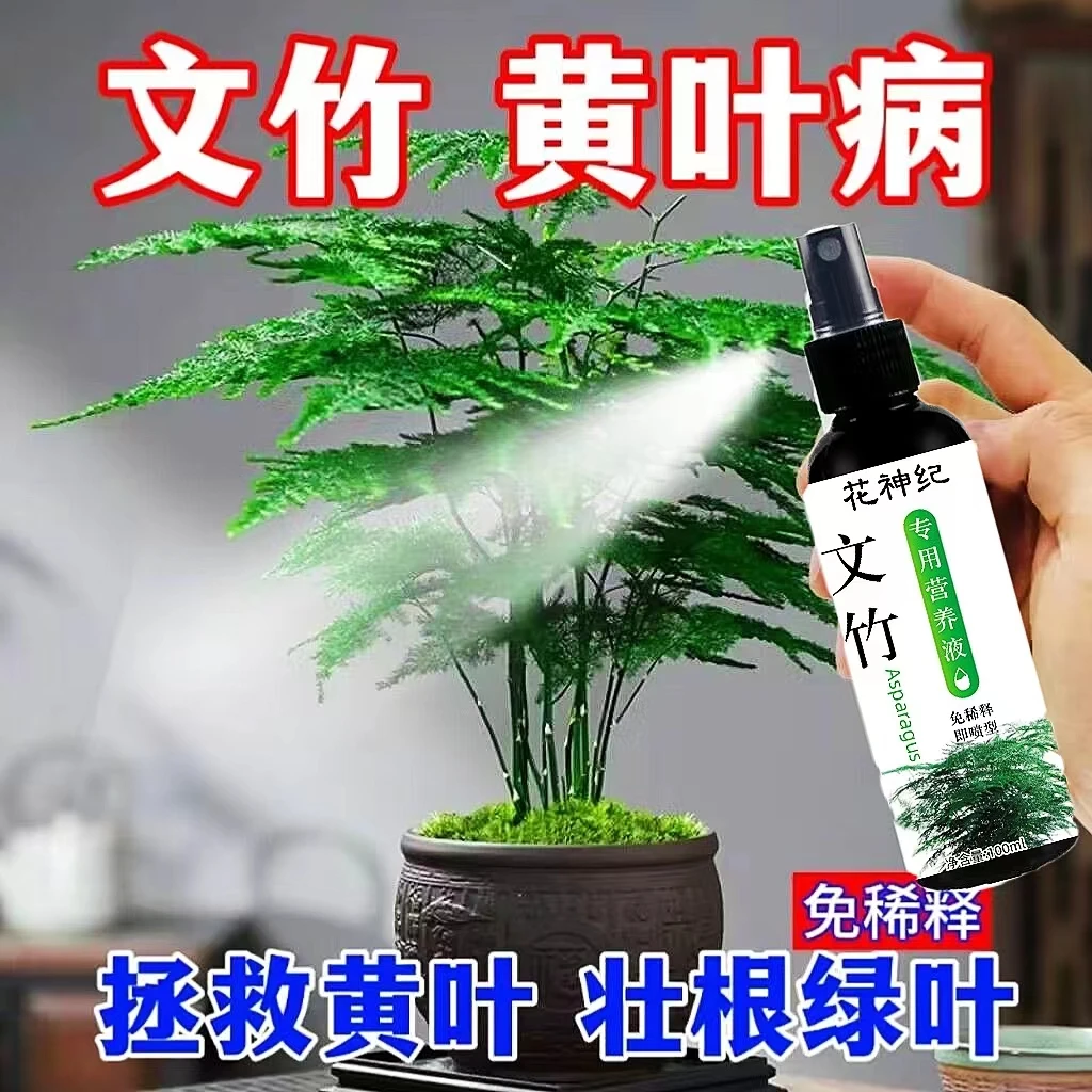 【免稀释】文竹专用营养液增微量元素专用肥防黄叶烂根干尖施肥促绿