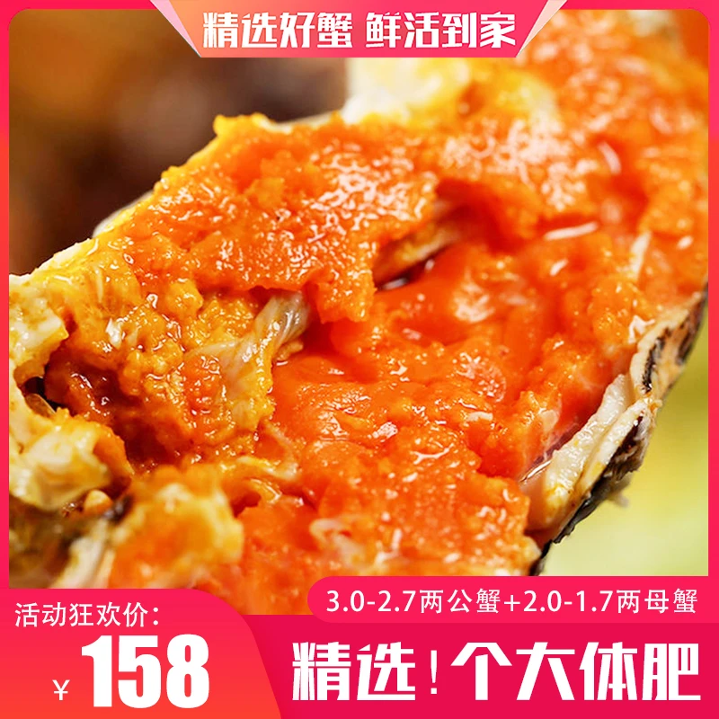 【苏州精品活蟹】3-2.7两公蟹 2-1.7两母蟹 10只装 秋后螃蟹顶壳肥