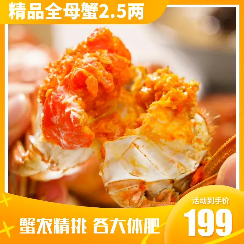 【活蟹】苏州精品大闸蟹 2.5两顶壳肥全母蟹 8/10/12只装 秋后螃蟹