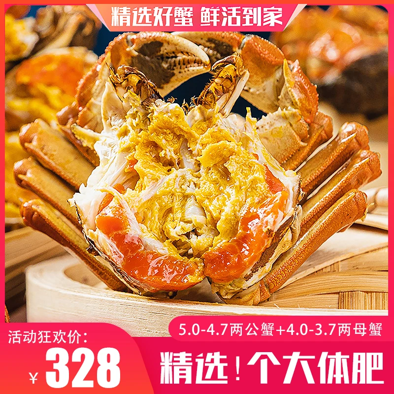 【蟹王蟹后】苏州精品大闸蟹5.0-4.7两公蟹+4.0-3.7两母蟹8/10只蟹