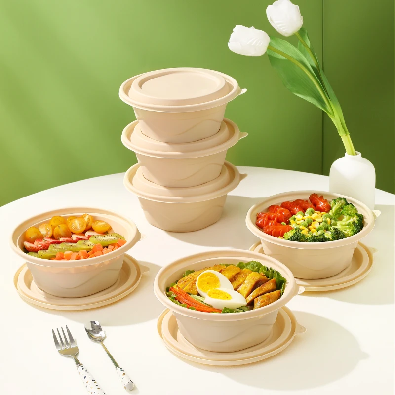 美丽雅可降解一次性餐盒环保露营野炊打包盒饭盒加厚带盖家用商用