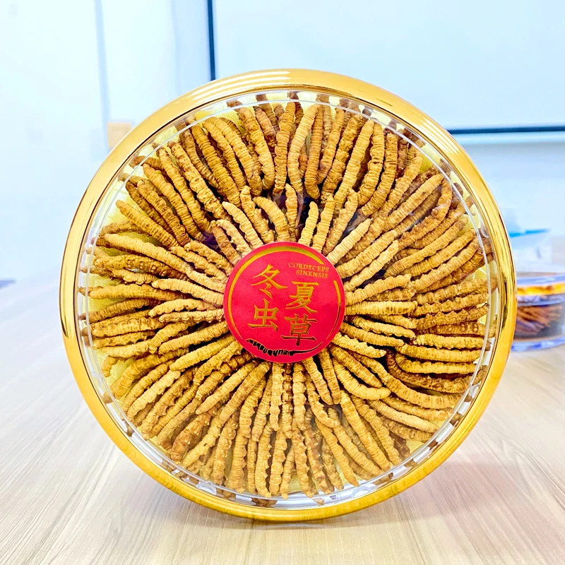 【阿吉虫草专属】冬虫夏草大草200根高海拔虫草礼盒装