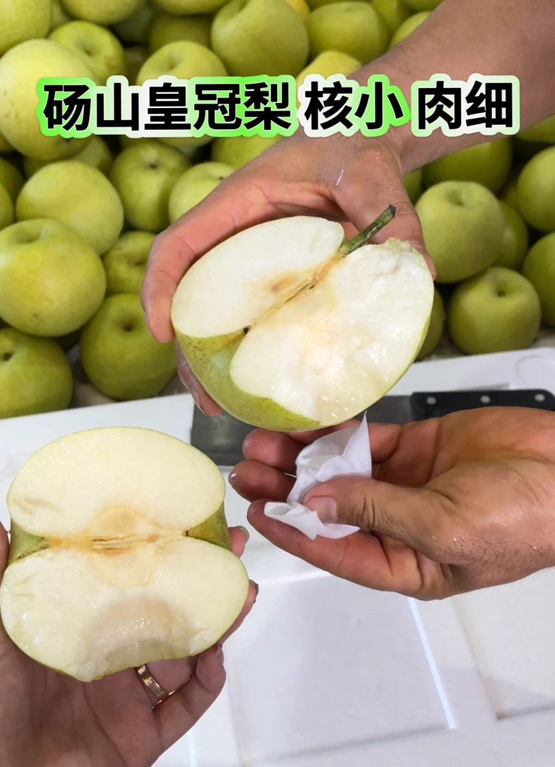 砀山皇冠梨 自家梨园采摘 精包装包邮 核小肉细酸甜适口采摘