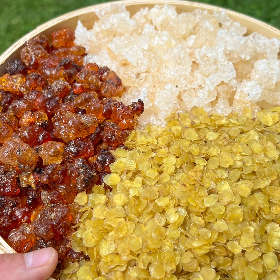 〖桃胶-单荚皂角米-爆米花雪燕〗可搭配银耳单品膳食轻食代餐