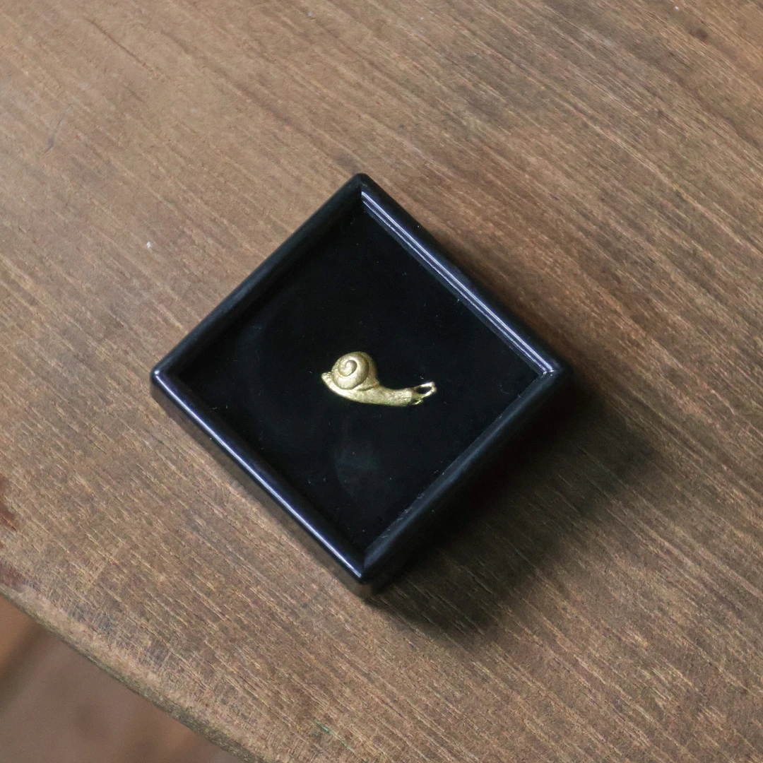 【老王】小蜗牛（Q6388）