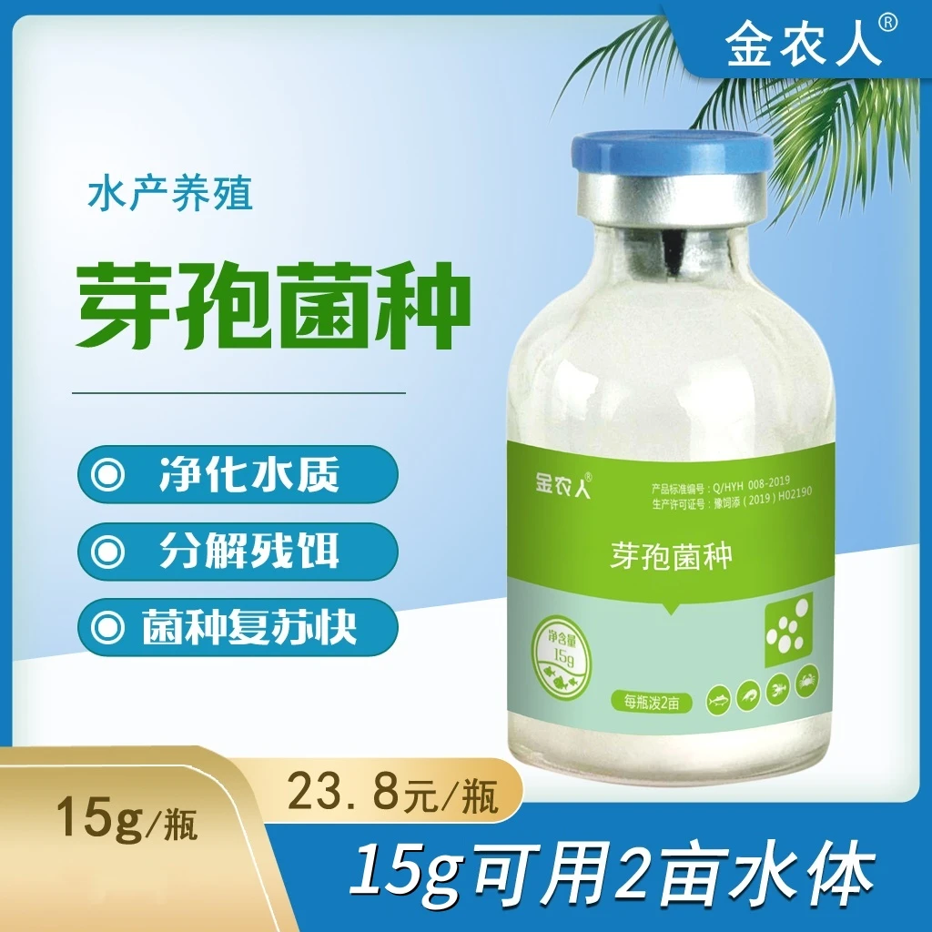 【金农人】芽孢菌种  降解氨氮亚盐平衡藻类降解有机质调节水质适用