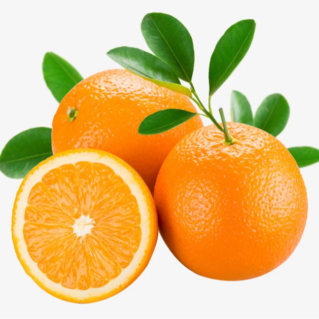 橘子橘子橘子橘子