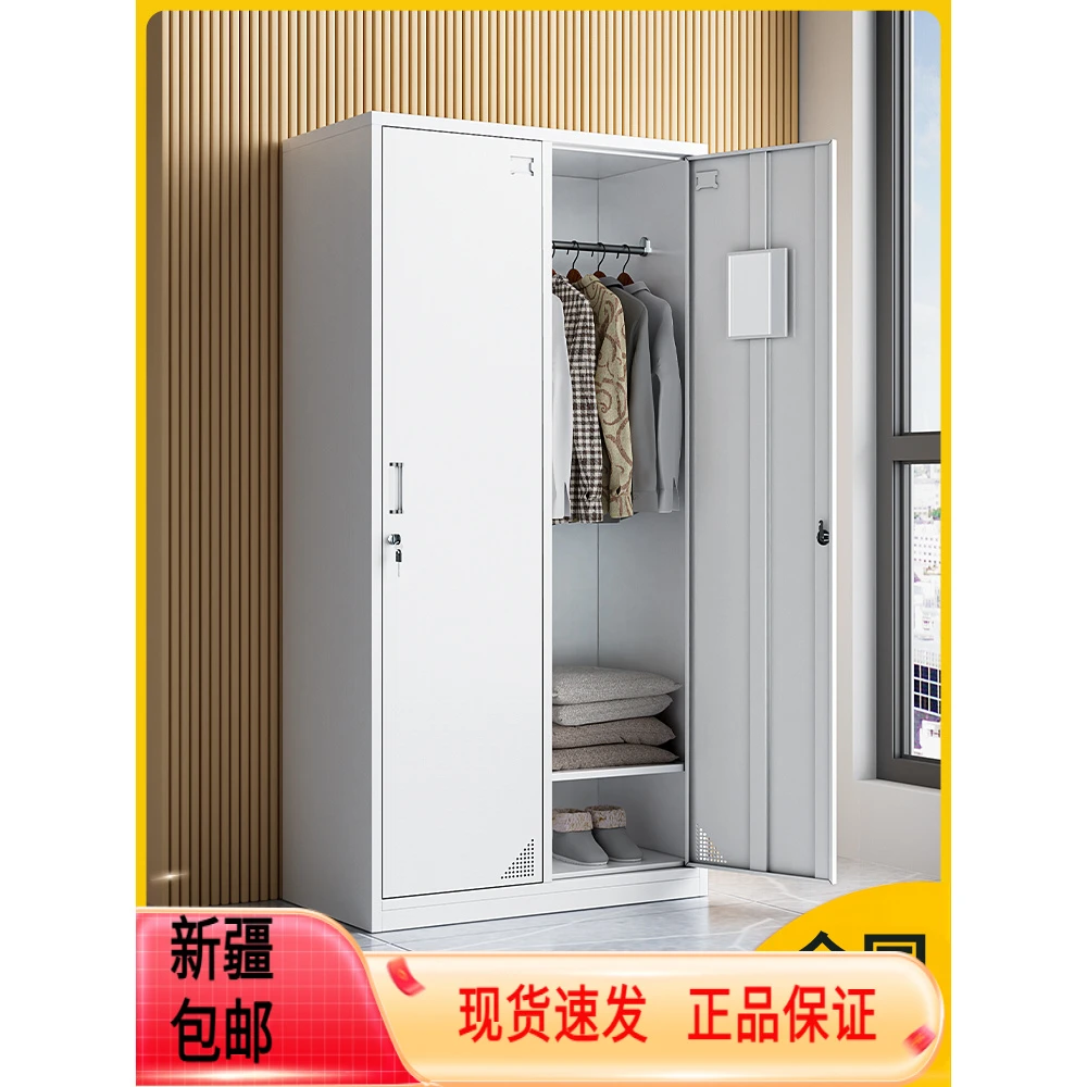 新疆包邮钢制新款二门更衣柜员工铁皮储物柜工厂员工学校宿舍家用